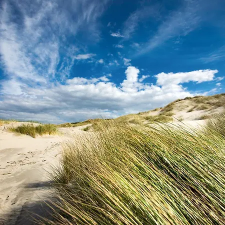 Appartementhaus Bracht - Meeresrauschen 1 شقة جويست